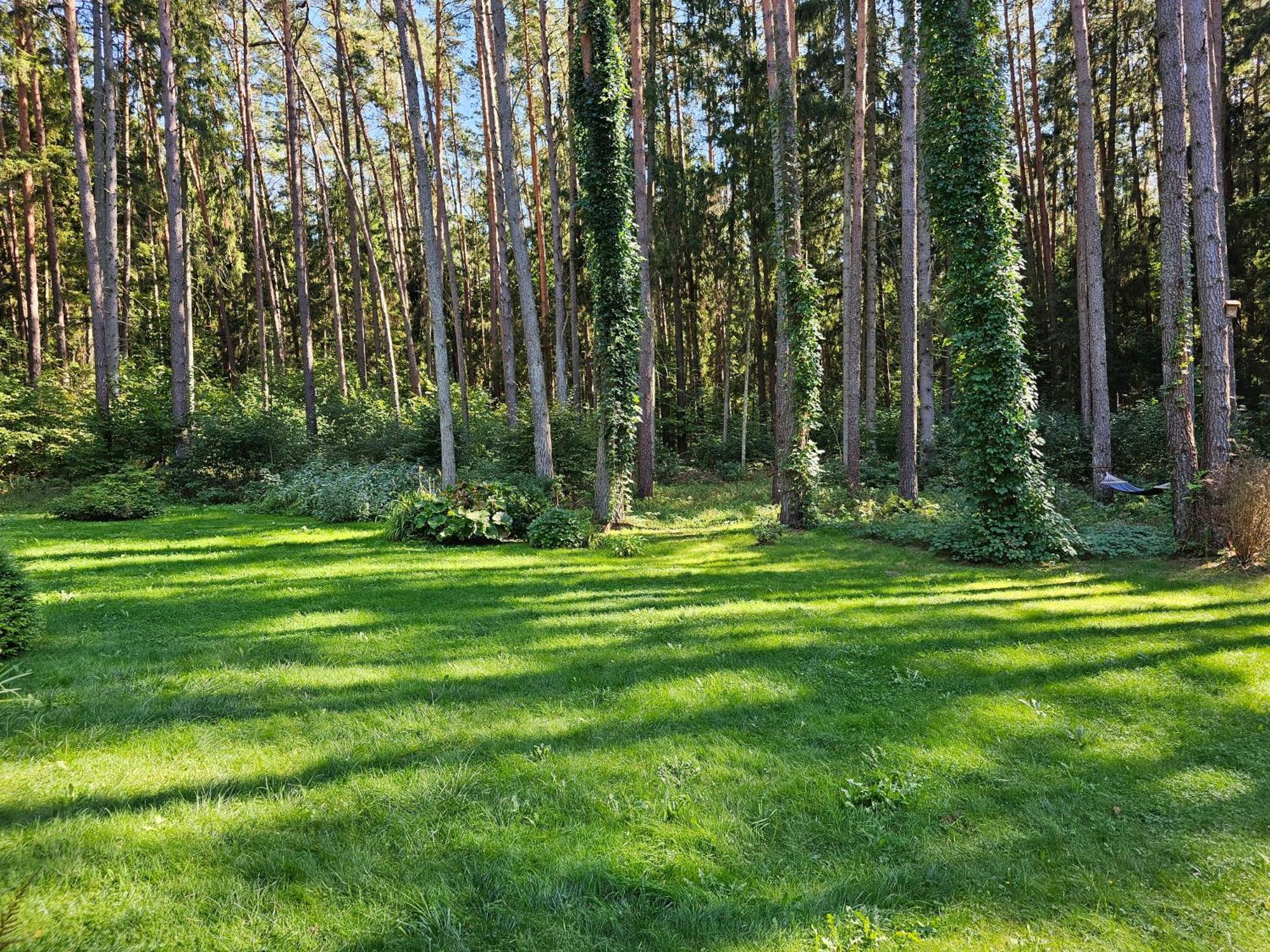 Villa Misko Feja Birštonas